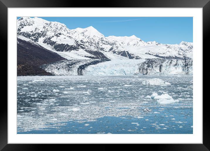 Harvard Tidewater Glacier at the end of College Fjord, Alaska, USA Framed Mounted Print by Dave Collins