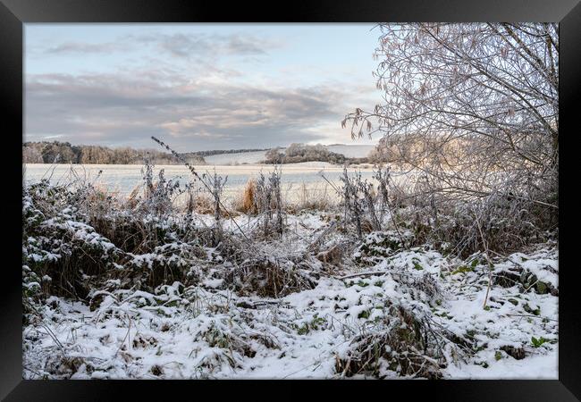 Snow covered fields and trees with snow on the distant hills in the Scottish Borders, United Kingdom Framed Print by Dave Collins