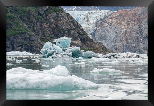 Gowlers (small icebergs) floating in the sea with North Sawyer Glacier in the distance, Tracy Arm Inlet, Alaska, USA Framed Print by Dave Collins