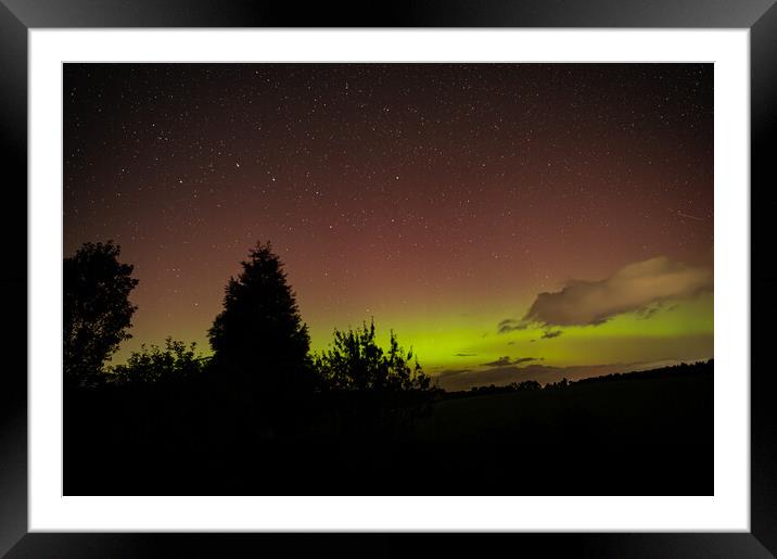 Yellow and Pink Aurora with tree silhouettes in the Scottish Borders, United Kingdom Framed Mounted Print by Dave Collins