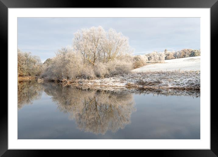 Reflections of snow covered trees in the River Teviot, Scottish Borders, United Kingdom Framed Mounted Print by Dave Collins