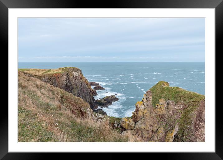 Rocky Shoreline, St Abbs Head, Scottish Borders, Scotland Framed Mounted Print by Dave Collins