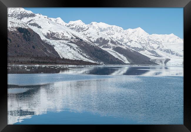 Tidewater Glacier reflected in the calm waters of College Fjord, Alaska, USA Framed Print by Dave Collins