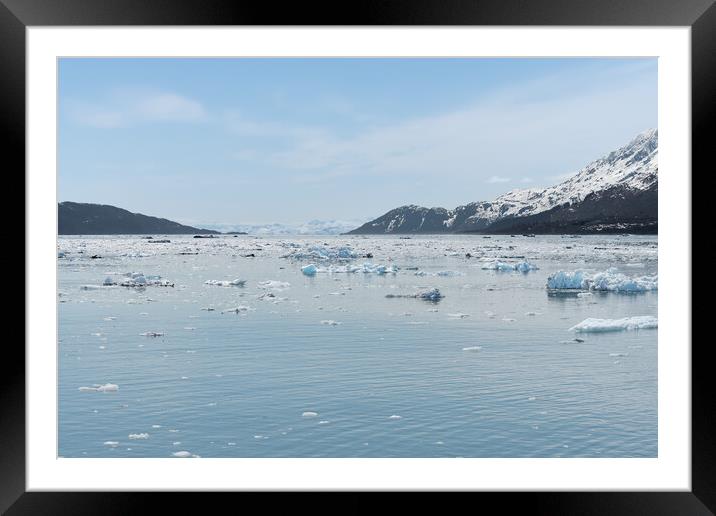 Growlers (small Icebergs) floating on the sea in College Fjord, Alaska, USA Framed Mounted Print by Dave Collins