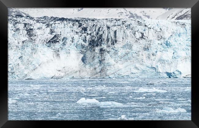 Harvard Tidewater Glacier at the end of College Fjord, Alaska, USA Framed Print by Dave Collins