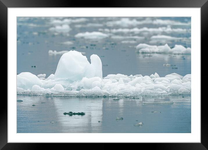 Close up of a growler - small iceberg in Alaska, USA Framed Mounted Print by Dave Collins