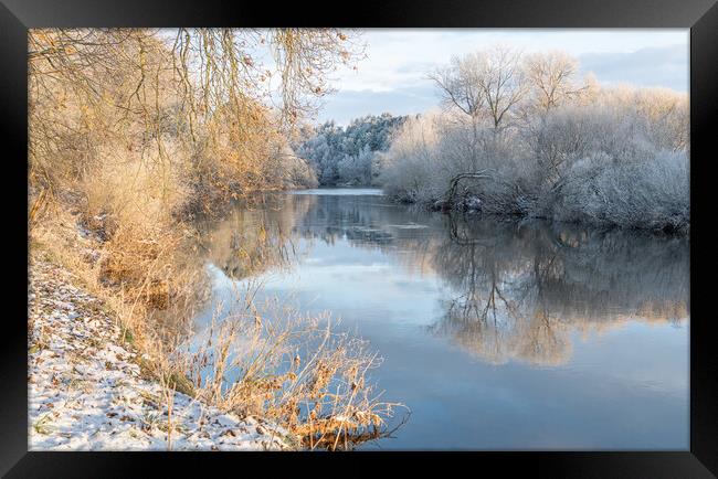 Reflections of snow covered trees in the River Teviot, Scottish Borders, United Kingdom Framed Print by Dave Collins