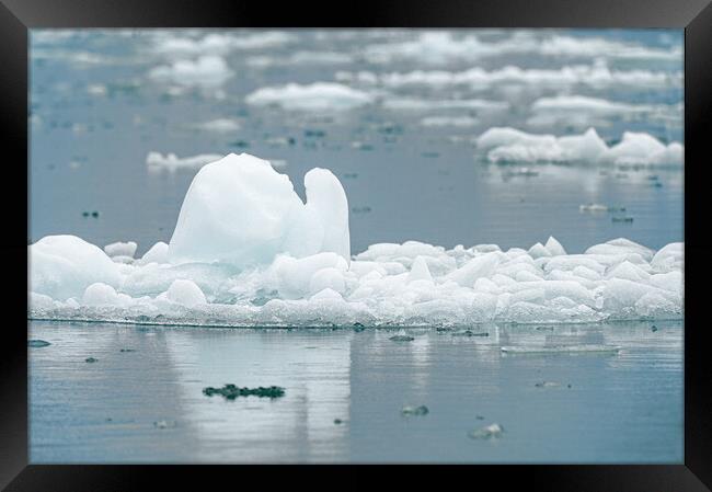 Close up of a growler - small iceberg in Alaska, USA Framed Print by Dave Collins