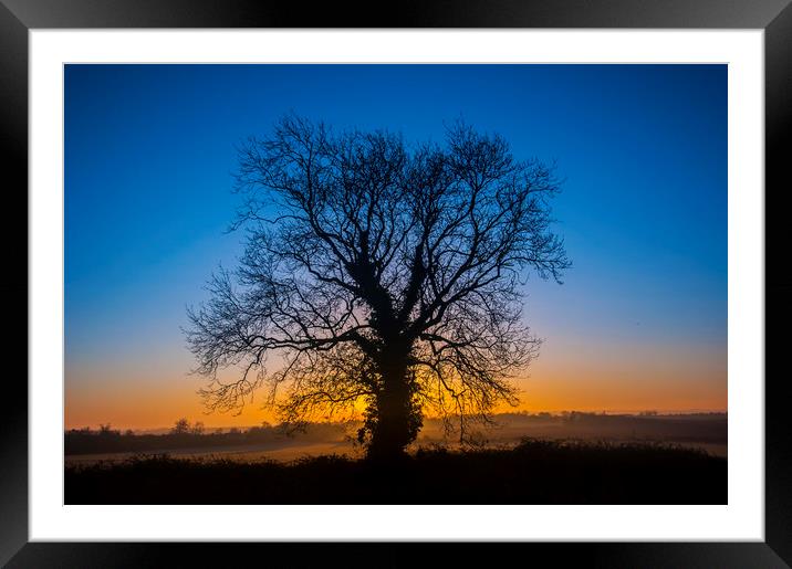 Sunrise Behind Tree Framed Mounted Print by Dave Collins