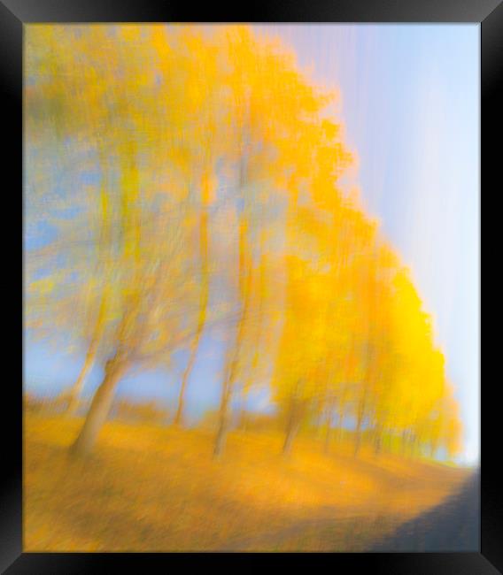 Autum Colours Framed Print by Dave Collins