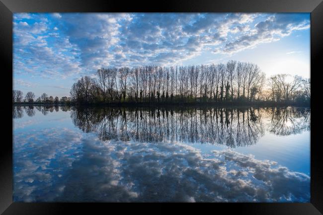 Reflections, Ellerton Park, Yorkshire Framed Print by Dave Collins