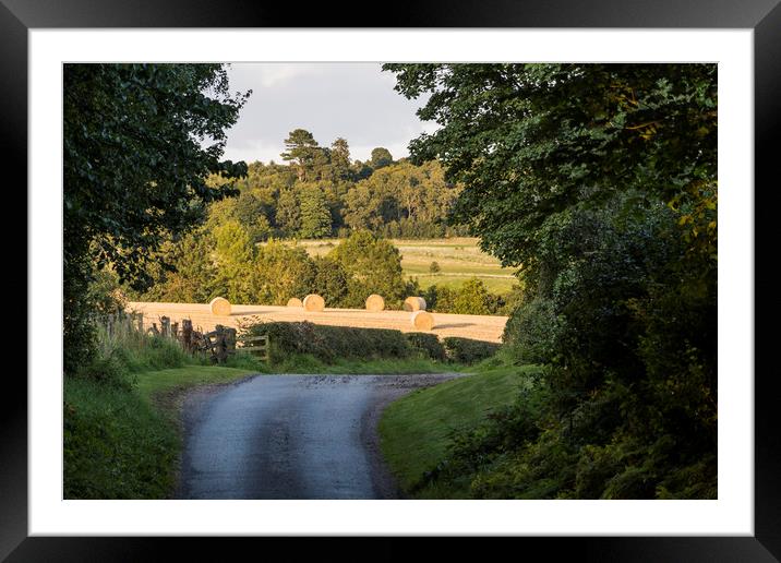 A Warm Summer Day Framed Mounted Print by Dave Collins