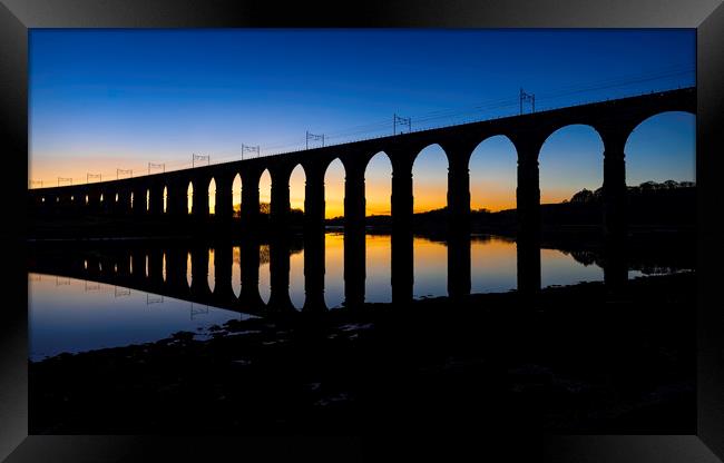 Berwick Viaduct at Dusk Framed Print by Dave Collins
