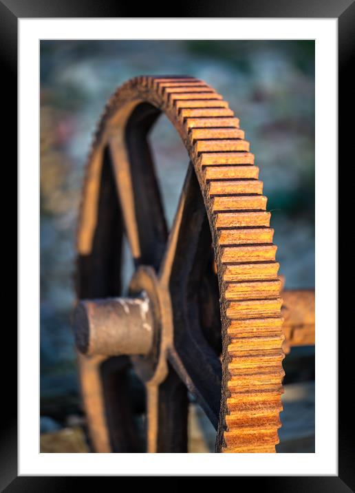   Rusty Winch, Dungeness Beach, Kent, England Framed Mounted Print by Dave Collins