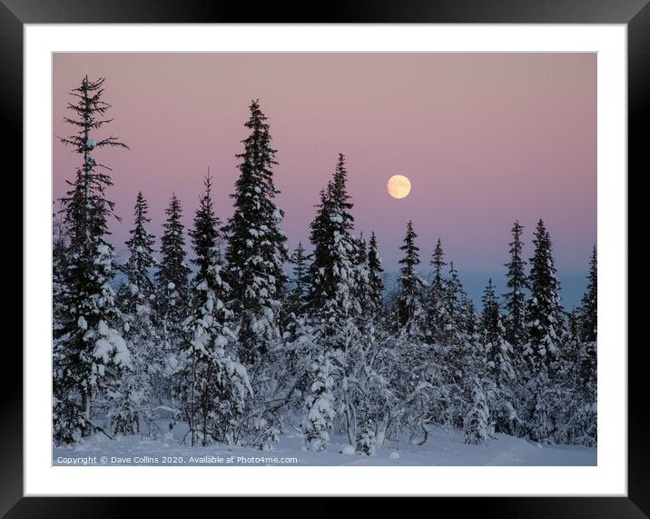 Winter Moonrise in Northern Finland Framed Mounted Print by Dave Collins