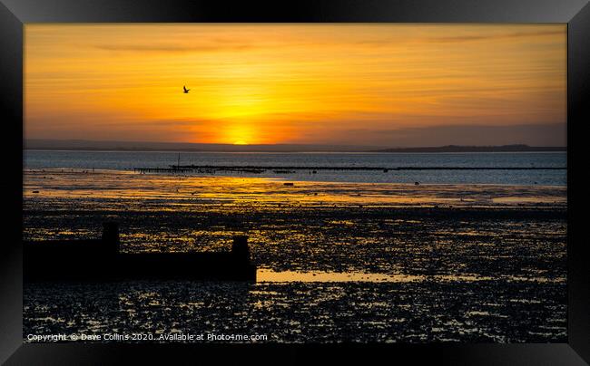 Sunset at Whitstable Beach, Kent, England Framed Print by Dave Collins