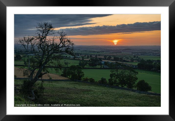 Sunrise in the Scottish Borders, Scotland Framed Mounted Print by Dave Collins