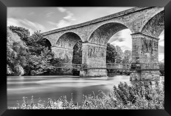 Roxburgh Viaduct over the Teviot River - Monochrom Framed Print by Dave Collins