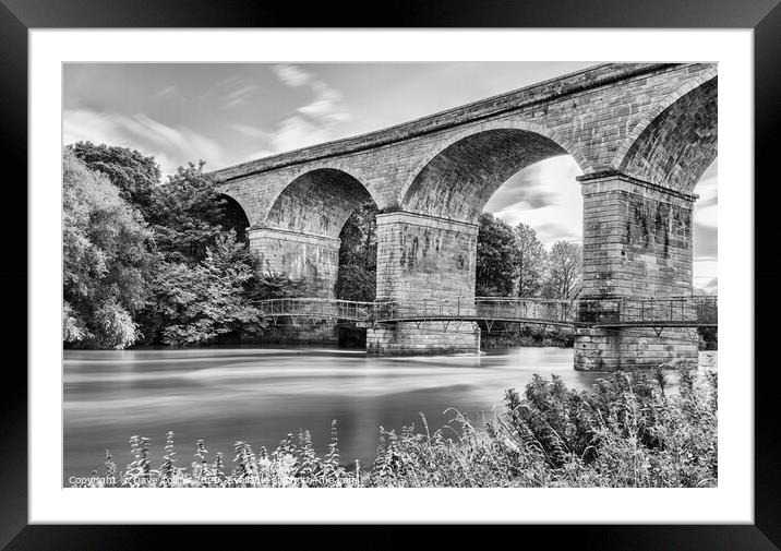 Roxburgh Viaduct over the Teviot River - Monochrom Framed Mounted Print by Dave Collins