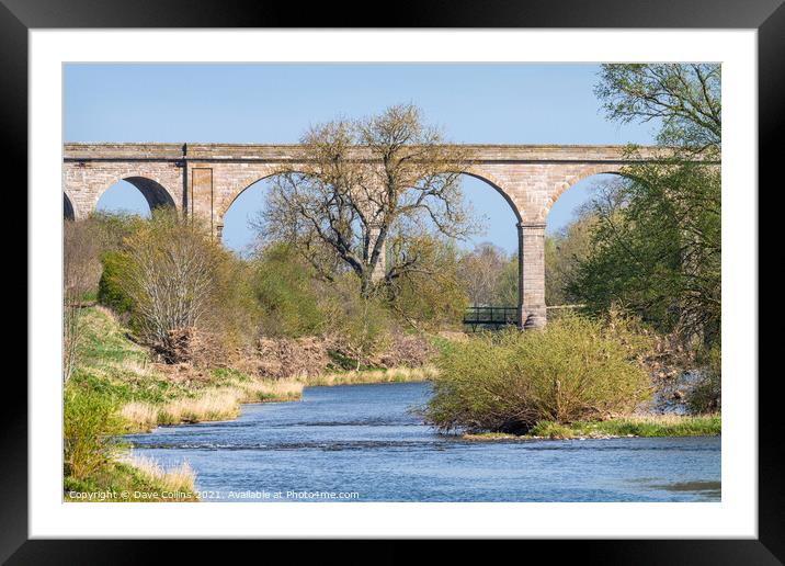Roxburgh Viaduct, Teviot River, Scotland Framed Mounted Print by Dave Collins