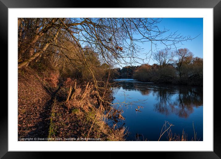 Teviot River at dawn, Scottish Borders, UK Framed Mounted Print by Dave Collins