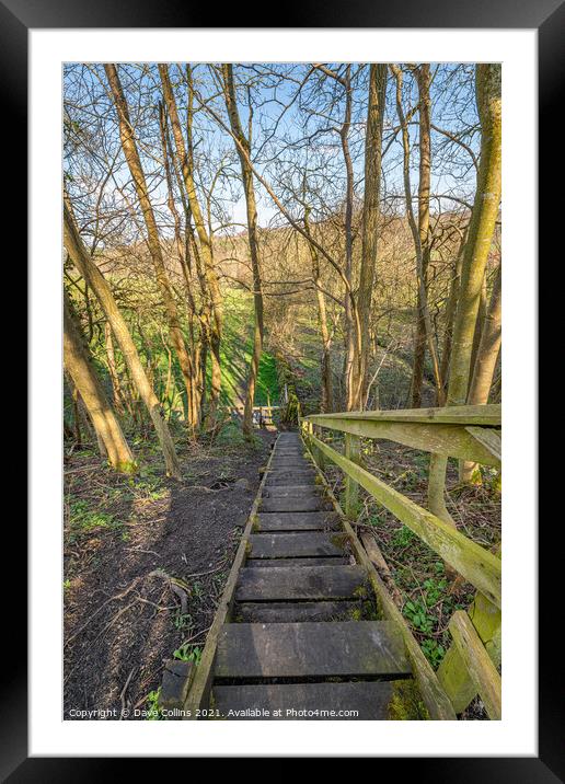 Wooden Steps on Four Borders Abbeys Way Long Distance Footpath Framed Mounted Print by Dave Collins