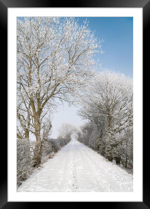 Snow Covered footpath (on disused railway) in the Scottish Borders Framed Mounted Print by Dave Collins