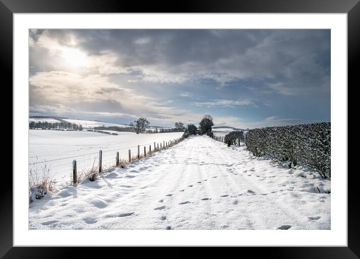 Snow Covered footpath (on disused railway) in the Scottish Borders Framed Mounted Print by Dave Collins