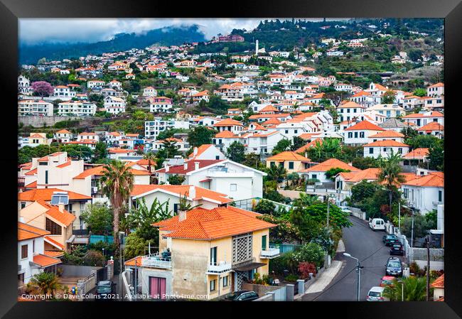 Buildings crowded together on the hills of Funchal in Madeira Framed Print by Dave Collins