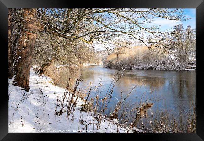 Teviot River and winter snow in the Scottish Borders Framed Print by Dave Collins
