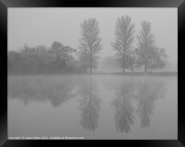 Tree Reflections, Misty Morning Framed Print by Dave Collins