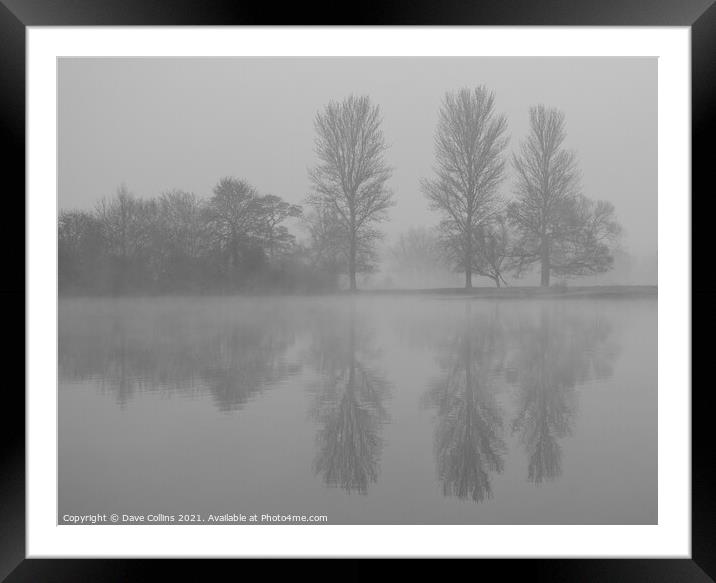 Tree Reflections, Misty Morning Framed Mounted Print by Dave Collins