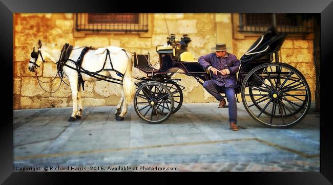 Horse and carriage, Cordoba, Spain Framed Print by Richard Harris
