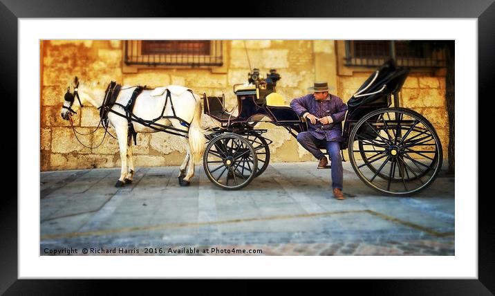 Horse and carriage, Cordoba, Spain Framed Mounted Print by Richard Harris