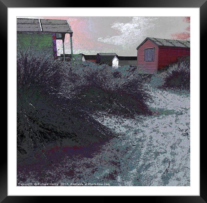 Beach huts on the dunes Framed Mounted Print by Richard Harris