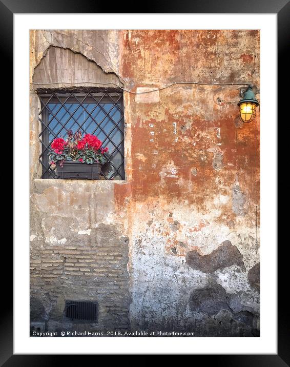 Geraniums in a window box Framed Mounted Print by Richard Harris