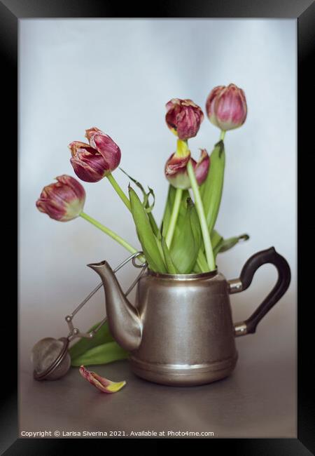 Tulips Still Life  Framed Print by Larisa Siverina
