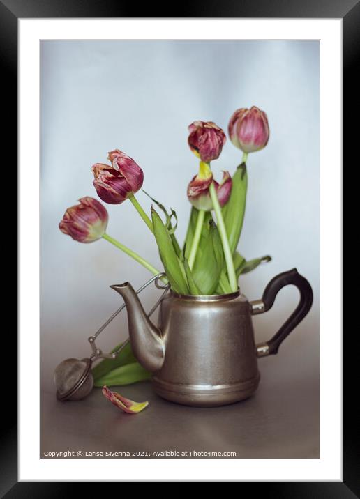 Tulips Still Life  Framed Mounted Print by Larisa Siverina
