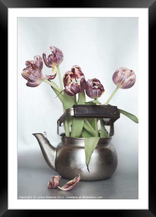 Tulip bouquet Framed Mounted Print by Larisa Siverina