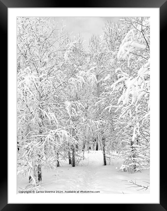 A tree covered in snow Framed Mounted Print by Larisa Siverina