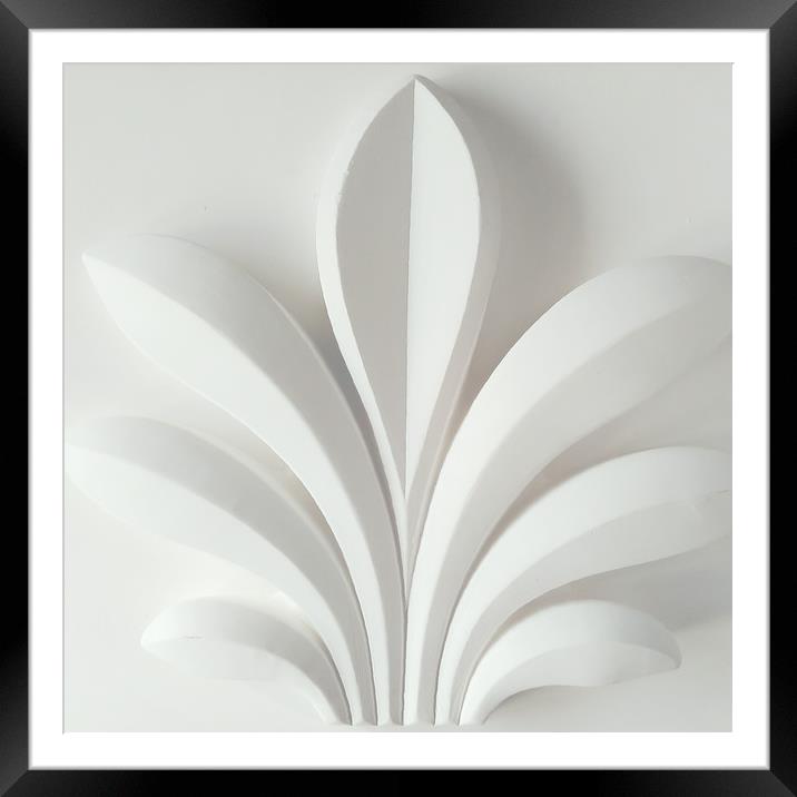 White plant sculpture Framed Mounted Print by Larisa Siverina