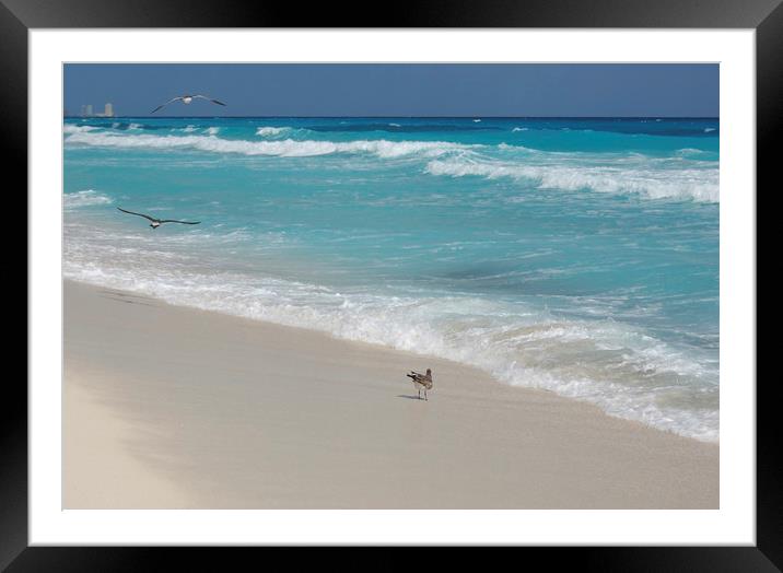 Carribean sea,Cancun, Mexico Framed Mounted Print by Larisa Siverina