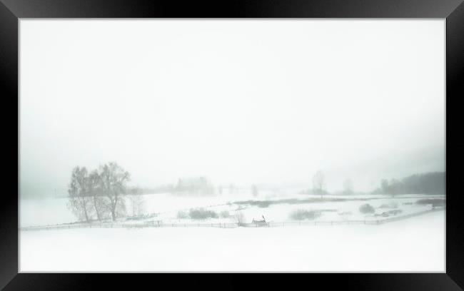 Winter rural landscape Framed Print by Larisa Siverina