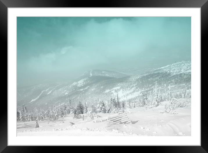 Winter landscape Framed Mounted Print by Larisa Siverina