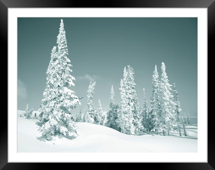 Beautiful winter day Framed Mounted Print by Larisa Siverina