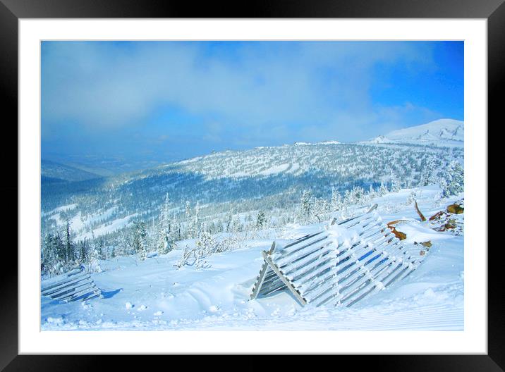 Winter landscape Framed Mounted Print by Larisa Siverina