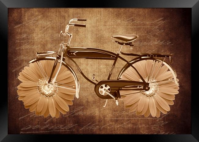 Vintage bicycle Framed Print by Larisa Siverina