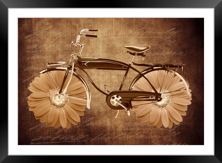 Vintage bicycle Framed Mounted Print by Larisa Siverina
