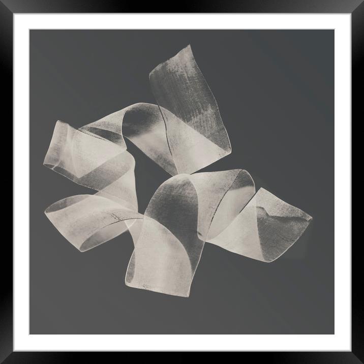 Abstract nylon ribbon pattern  Framed Mounted Print by Larisa Siverina