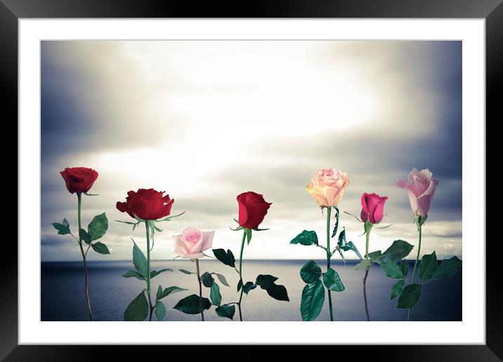 Roses and sea Framed Mounted Print by Larisa Siverina